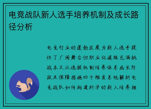 电竞战队新人选手培养机制及成长路径分析